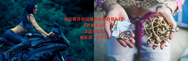 гашик Заводоуковск