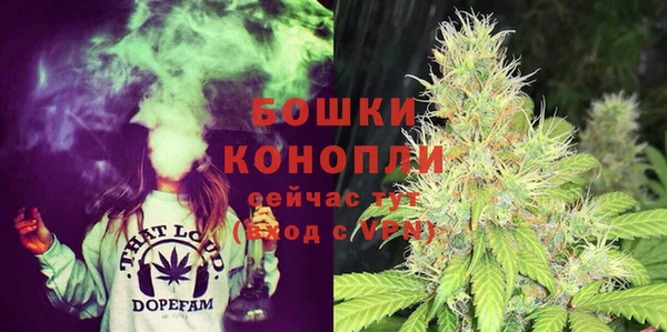 мдпв Елабуга