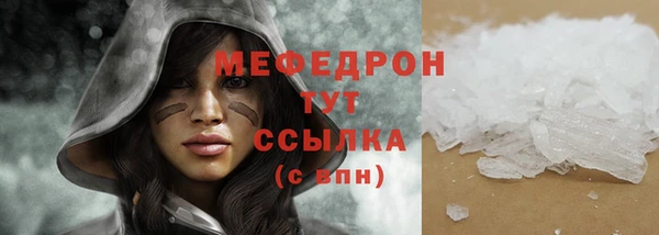 мдпв Елабуга