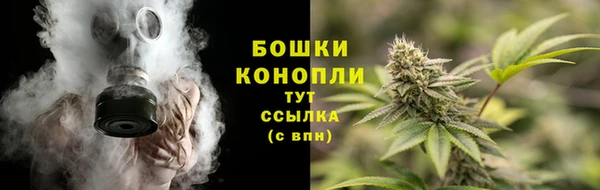 мдпв Елабуга