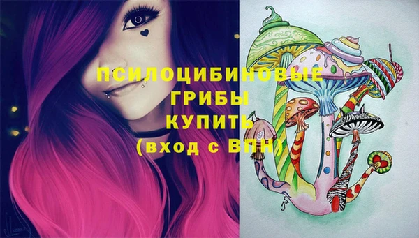 apvp Елизово