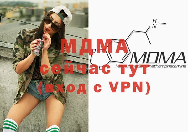 мдпв Елабуга